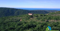 House-for-sale-ad-Aglientu-ref-fioredda