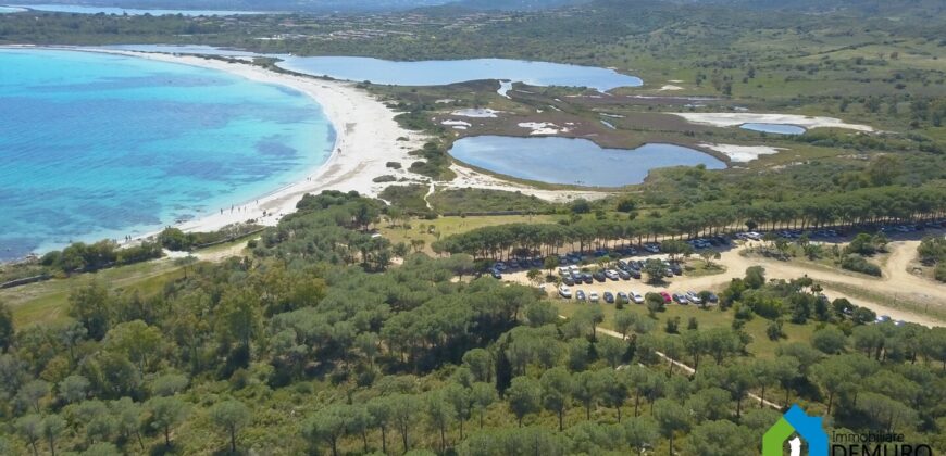 Villas for sale in SanTeodoro sea view ref PetrDec