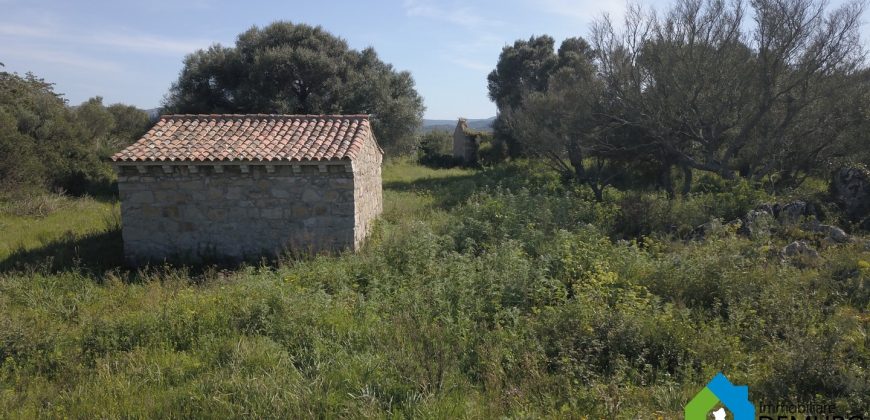 Stazzo in vendita ad Arzachena Ref.Sarraiola 2