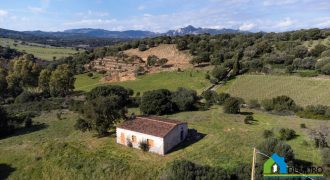 Stazzo gallurese in vendita Olbia ref Murichintu