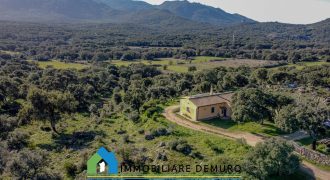 Country Home for Sale in Gallura Ref.Tracchetta