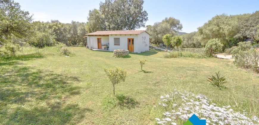 Farmhouses for Sale in Loiri Porto San Paolo Ref. Ovilò