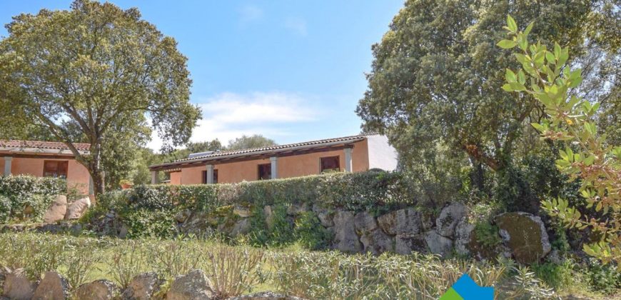 Farmhouses for Sale in Loiri Porto San Paolo Ref. Ovilò